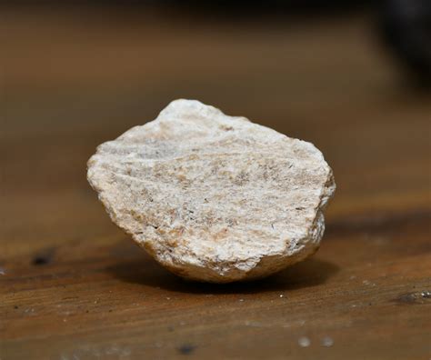 how to find ambergris.